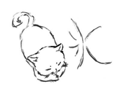 kabosu